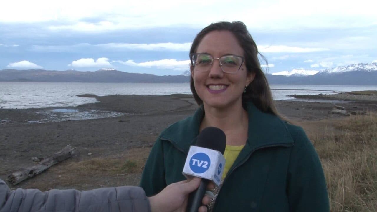 CASOS DE AVES MUERTAS EN RÍO GRANDE